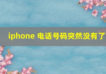 iphone 电话号码突然没有了